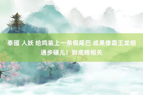 泰國 人妖 给鸡装上一条假尾巴 成果像霸王龙相通步碾儿！到底啥相关