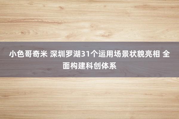 小色哥奇米 深圳罗湖31个运用场景状貌亮相 全面构建科创体系