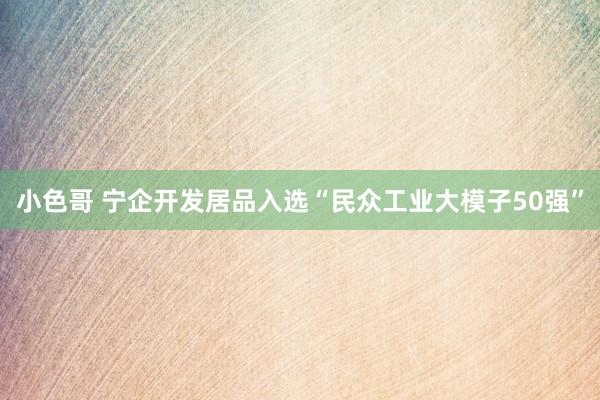 小色哥 宁企开发居品入选“民众工业大模子50强”