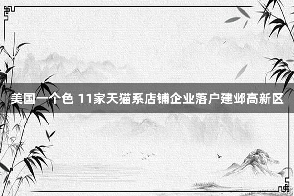 美国一个色 11家天猫系店铺企业落户建邺高新区