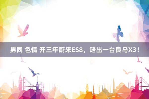 男同 色情 开三年蔚来ES8，赔出一台良马X3！