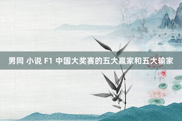 男同 小说 F1 中国大奖赛的五大赢家和五大输家