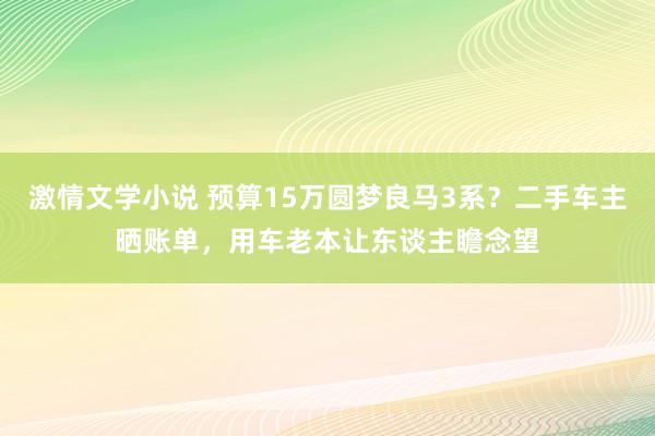 激情文学小说 预算15万圆梦良马3系？二手车主晒账单，用车老本让东谈主瞻念望