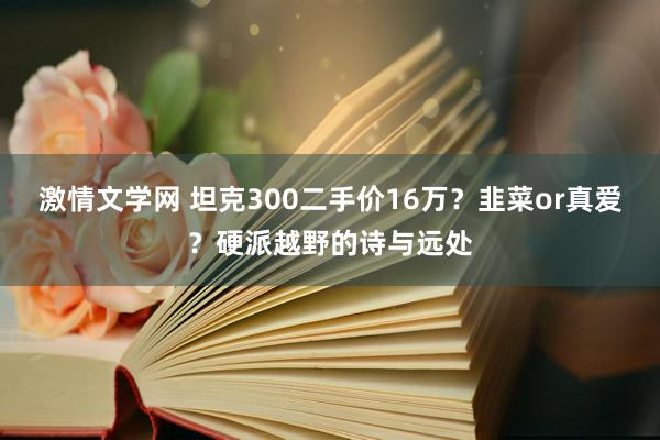 激情文学网 坦克300二手价16万？韭菜or真爱？硬派越野的诗与远处