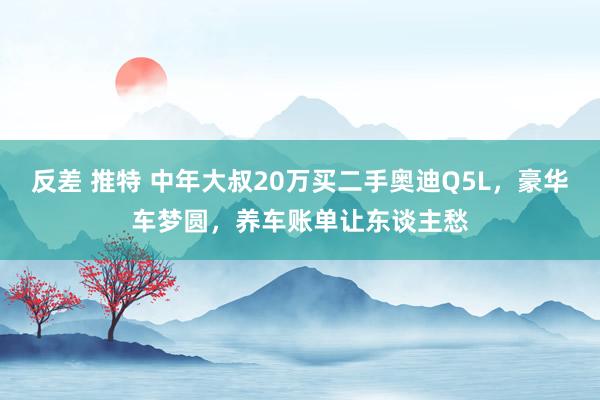 反差 推特 中年大叔20万买二手奥迪Q5L，豪华车梦圆，养车账单让东谈主愁