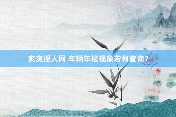 爽爽淫人网 车辆年检现象若何查询？