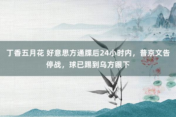 丁香五月花 好意思方通牒后24小时内，普京文告停战，球已踢到乌方眼下