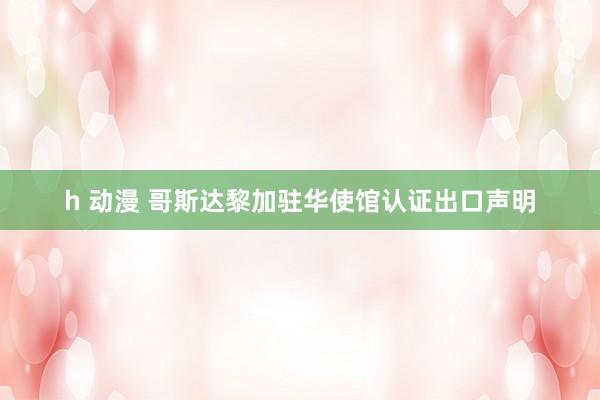 h 动漫 哥斯达黎加驻华使馆认证出口声明