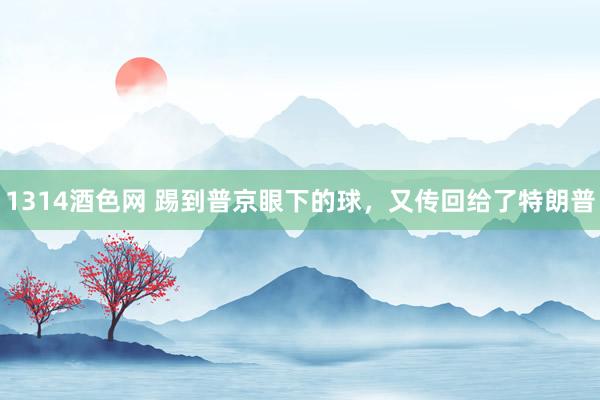 1314酒色网 踢到普京眼下的球，又传回给了特朗普