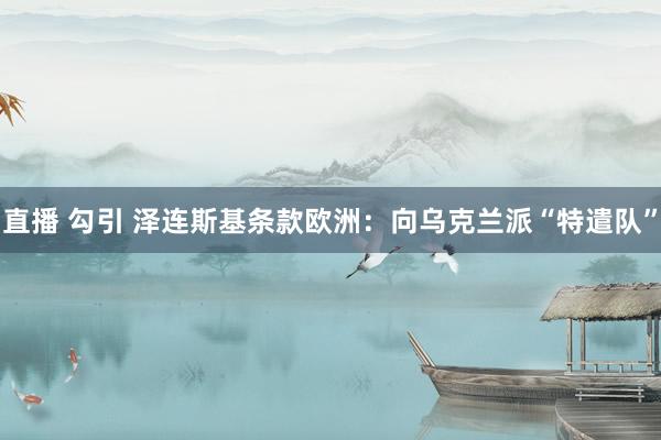 直播 勾引 泽连斯基条款欧洲：向乌克兰派“特遣队”