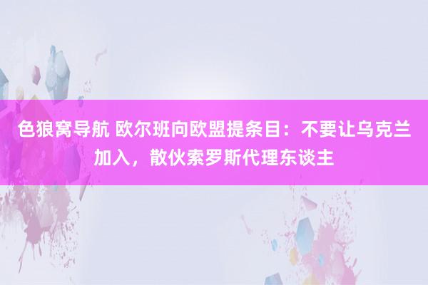 色狼窝导航 欧尔班向欧盟提条目：不要让乌克兰加入，散伙索罗斯代理东谈主