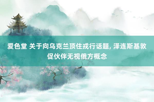 爱色堂 关于向乌克兰顶住戎行话题, 泽连斯基敦促伙伴无视俄方概念