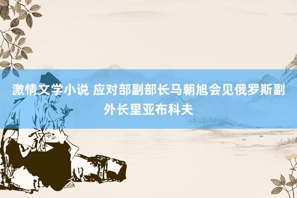 激情文学小说 应对部副部长马朝旭会见俄罗斯副外长里亚布科夫