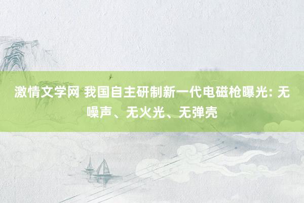 激情文学网 我国自主研制新一代电磁枪曝光: 无噪声、无火光、无弹壳