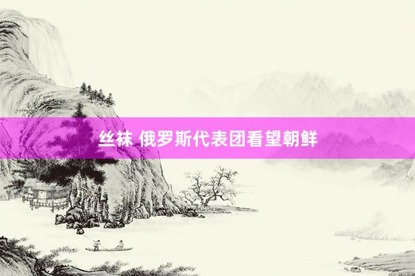 丝袜 俄罗斯代表团看望朝鲜