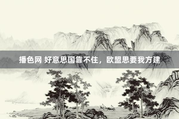 播色网 好意思国靠不住，欧盟思要我方建