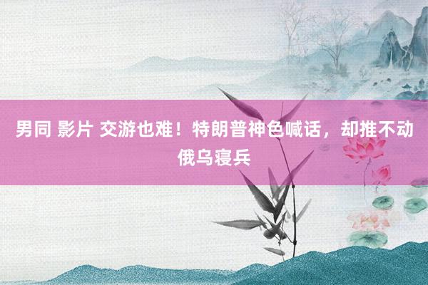 男同 影片 交游也难！特朗普神色喊话，却推不动俄乌寝兵