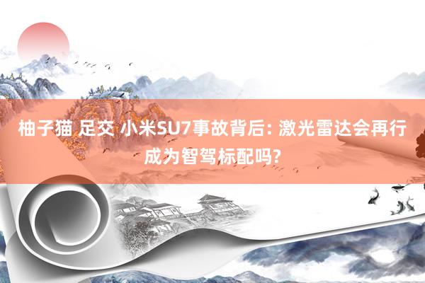 柚子猫 足交 小米SU7事故背后: 激光雷达会再行成为智驾标配吗?