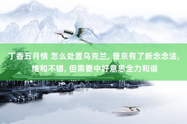 丁香五月情 怎么处置乌克兰, 普京有了新念念法, 维和不错, 但需要中好意思全力和谐