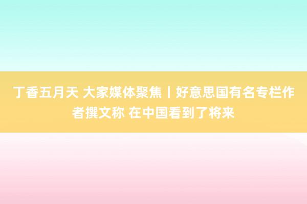 丁香五月天 大家媒体聚焦丨好意思国有名专栏作者撰文称 在中国看到了将来