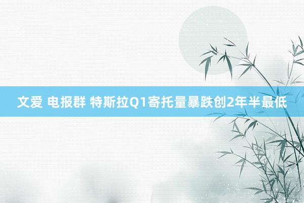 文爱 电报群 特斯拉Q1寄托量暴跌创2年半最低