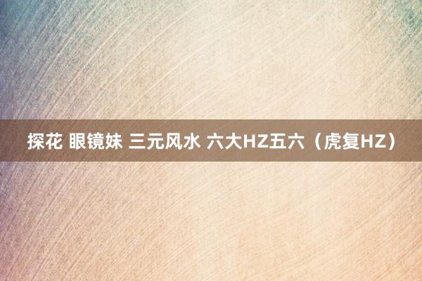 探花 眼镜妹 三元风水 六大HZ五六（虎复HZ）