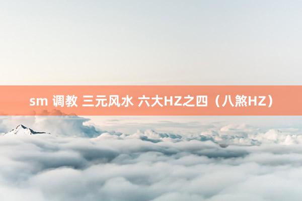 sm 调教 三元风水 六大HZ之四（八煞HZ）