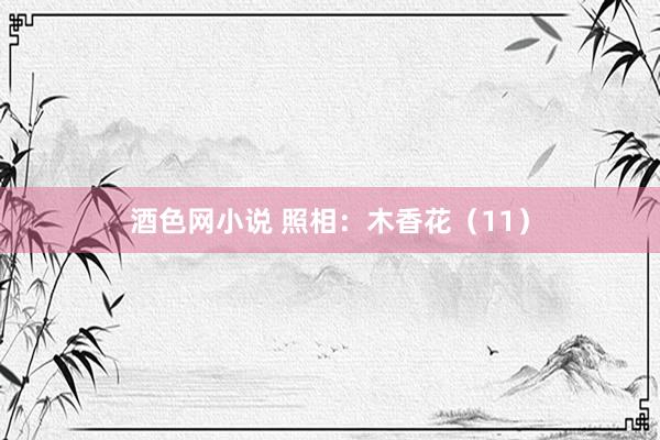 酒色网小说 照相：木香花（11）