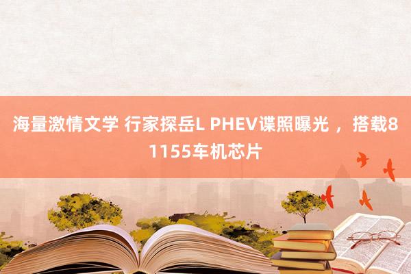 海量激情文学 行家探岳L PHEV谍照曝光 ，搭载81155车机芯片