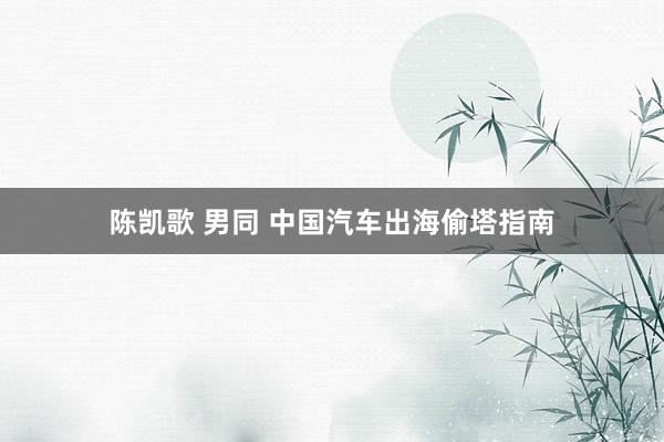 陈凯歌 男同 中国汽车出海偷塔指南
