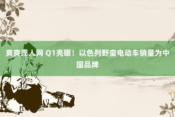 爽爽淫人网 Q1亮眼！以色列野蛮电动车销量为中国品牌